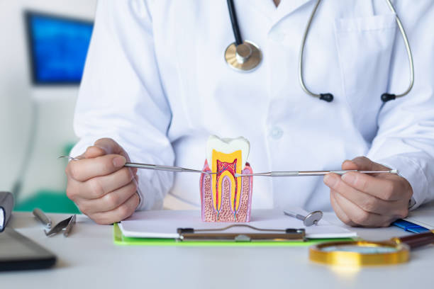 Best Emergency Dental Care for Broken or Chipped Teeth in East Lake, FL